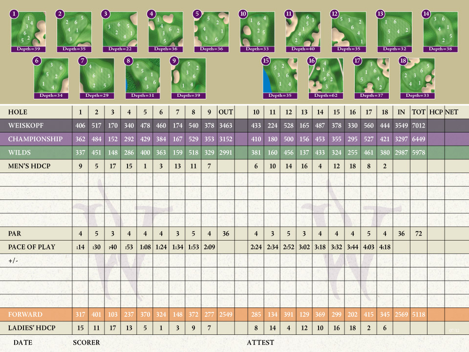 scorecard